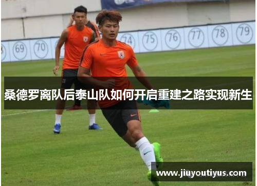 桑德罗离队后泰山队如何开启重建之路实现新生