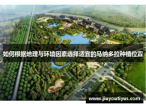 如何根据地理与环境因素选择适宜的马纳多拉种植位置