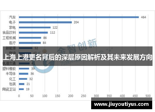 上海上港更名背后的深层原因解析及其未来发展方向